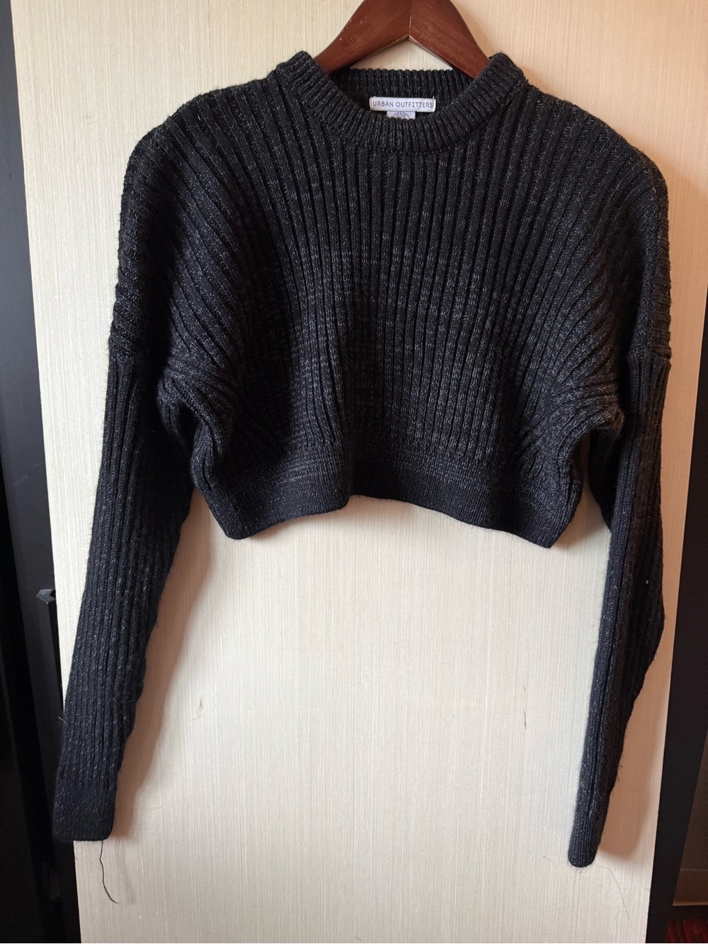 Urban Outfitters Black Ribbed Cropped Crewneck Sweater